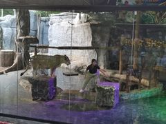 -清迈夜间动物园