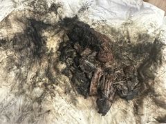 -御面斋精品面馆