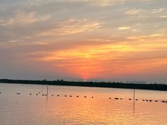 -滆湖低碳生态公园