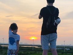 -南汇嘴观海公园