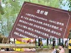 -乌村