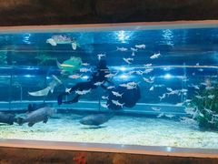 -绍兴梦享海洋公园