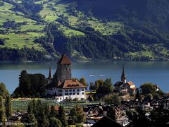 -猫咪博物馆(顶澳仔猫街店)