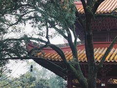 -南岳衡山风景名胜区-南岳大庙