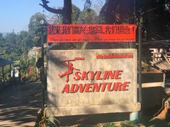 -清迈丛林飞跃 JungleFlight