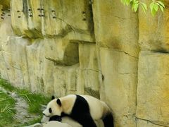 -上海野生动物园