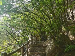 -黑龙潭风景区