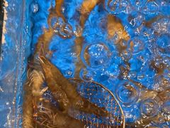 -“香”全日餐厅·株洲大汉希尔顿酒店