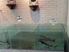 -红井路游艺炖锅·音乐餐吧(十渡店)