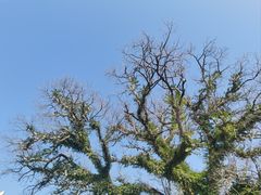 -福建博物院