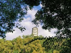 -深圳国际园林花卉博览园