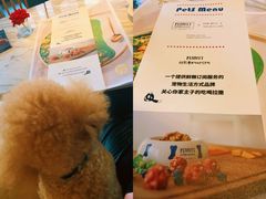 -the rug 飞毯 (朝阳公园店)