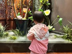 -金狮麟·新豫菜(杏石口路店)