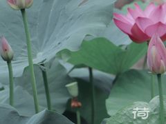 -丰台科技园生态主题公园