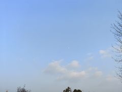 -两河城市森林公园