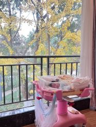 -莲生母婴月子中心(清水河公园店)