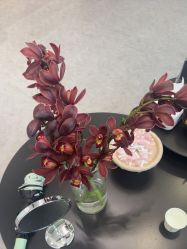 -JNK皮肤管理中心