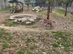 -西安秦岭野生动物园