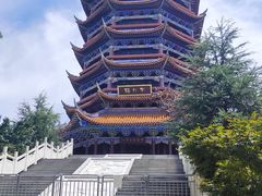 -铁山坪森林公园