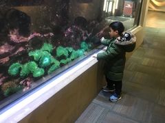 -西雅图水族馆