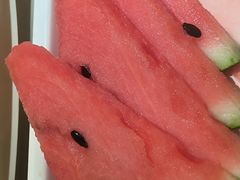 -三强鸽子(中原路店)