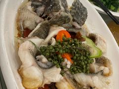 -绿岛国际酒店·海鲜酒楼(八七路店)