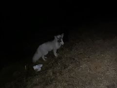 -鬼笑石后山停车场