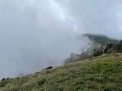 -白草畔自然风景区