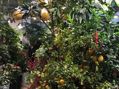 -双季花艺园艺市场(浦东店)