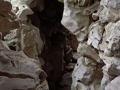 -秋霞圃