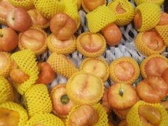 -励骏庞都广场(琴政路店)