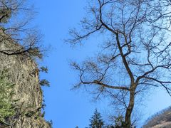 -藏山旅游风景区