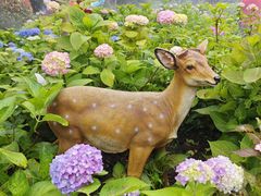 -上海共青森林公园