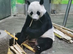 -柳州市动物园
