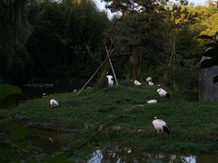 -杭州野生动物世界