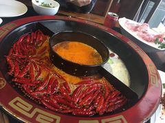 -宽巷子成都火锅(南站店)