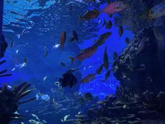 -海合安武汉极地海洋公园