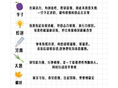 -观心实验室·心理咨询(上海旗舰店)