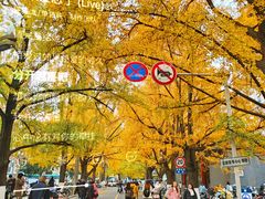 -四川大学(华西校区)