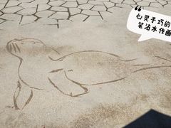 -上海海昌海洋公园