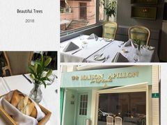 -蝶舍·MAISON PAPILLON