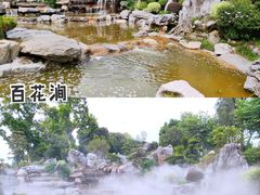 -东莞植物园