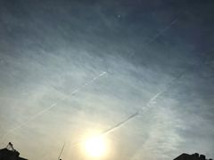 -大个子蒸饭