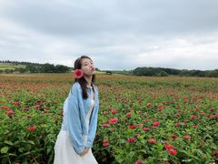 -莲花山花海