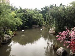 -河源客天下-温泉小镇