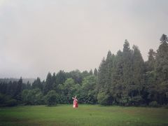 -武陵山森林公园