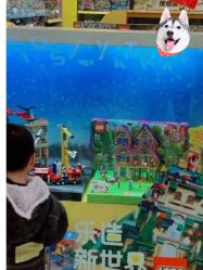 -kidsland(领展购物广场·京通店)