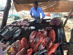 -尼甘布海鲜市场