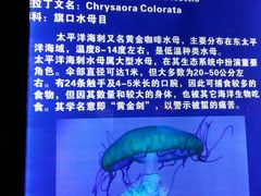 -福州罗源湾海洋世界旅游区