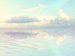-莫奈花园法式蛋糕